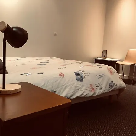 Le Petit Vauluisant Centre Historique, Duplex * Troyes