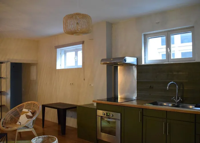 Le Petit Vauluisant Centre Historique, Duplex Apartment *