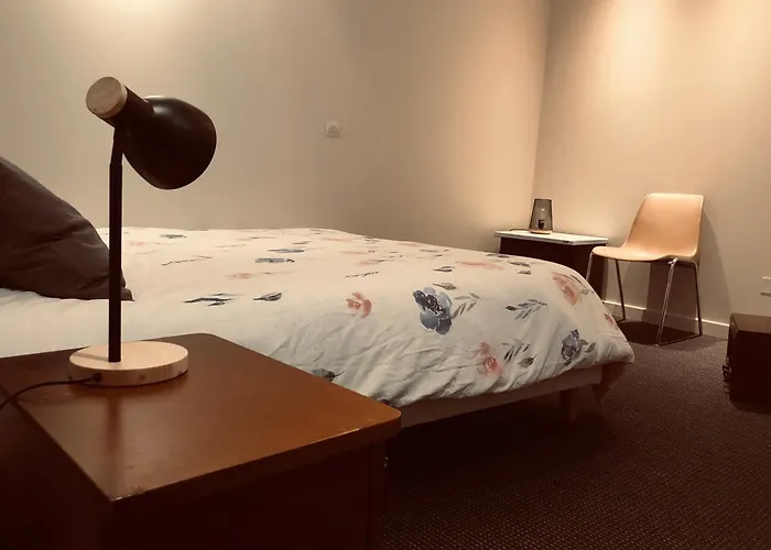 Le Petit Vauluisant Centre Historique, Duplex * Troyes